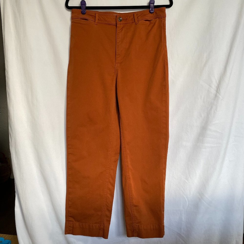 Everlane Lightweight Slim Crop Chinos